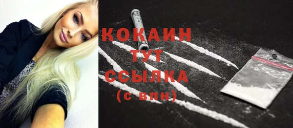 крисы Баксан