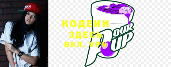индика Балабаново
