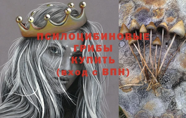 индика Балабаново