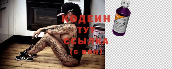 индика Балабаново