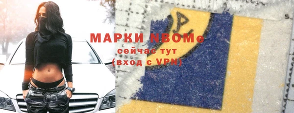 индика Балабаново