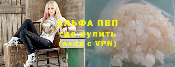 крисы Баксан