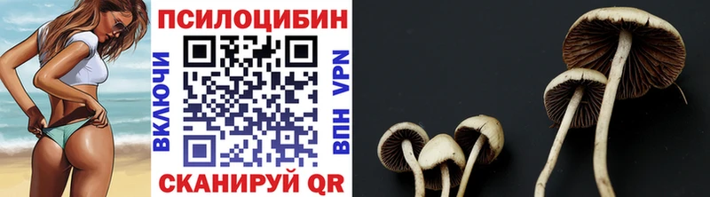Псилоцибиновые грибы Magic Shrooms  продажа наркотиков  это Telegram  Зубцов 